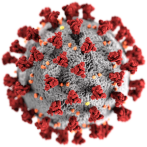 Illustration of the SARS-CoV-2 coronavirus particle with its surface spikes